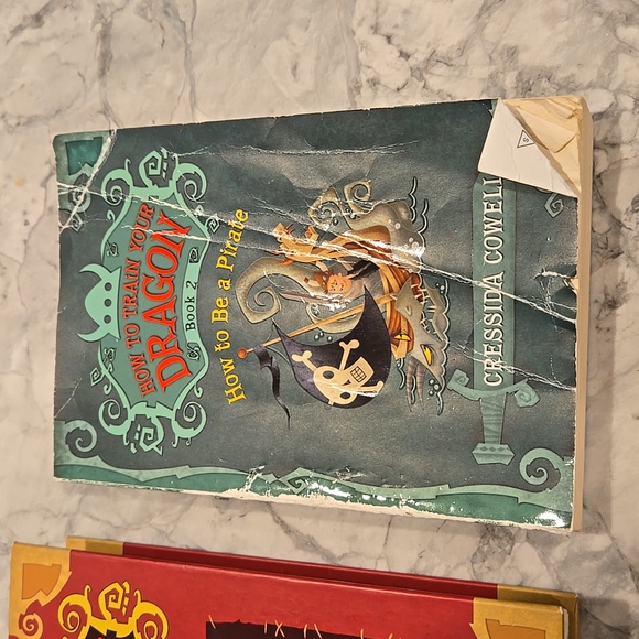 How to Train Your Dragon Books 1-4 - Picture 3 of 7